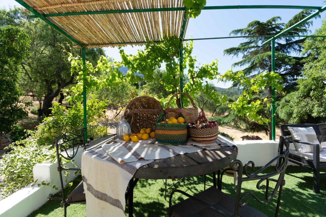 Villa Ferulas أوليينا المظهر الخارجي الصورة